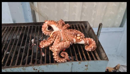 Navegantes por el Mediterraneo