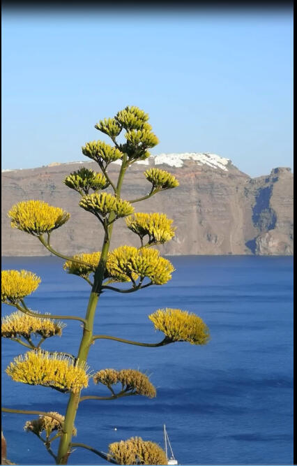 Navegantes por el Mediterraneo