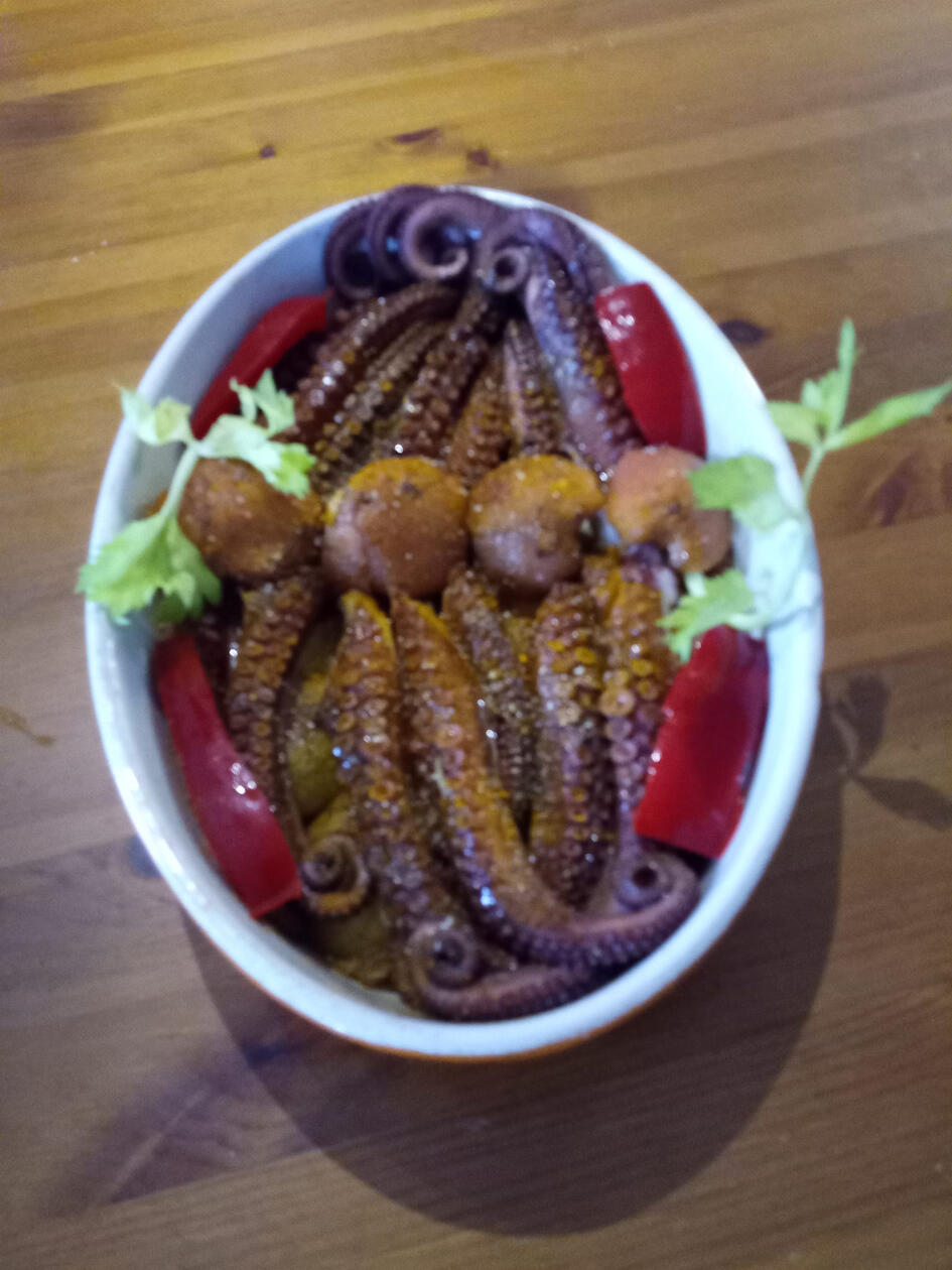 Freshly caught octopus.